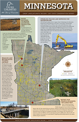 The State of Minnesota Conservation Report